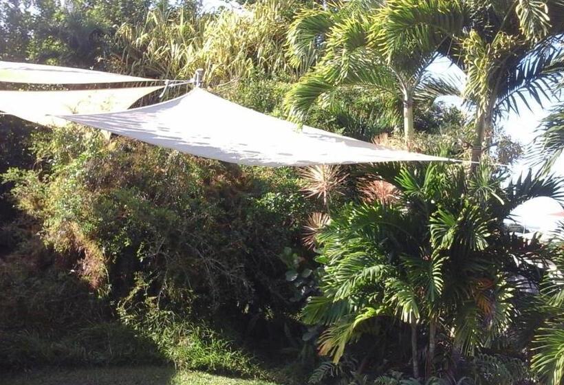 مبيت وإفطار Shaka Shak Guest House