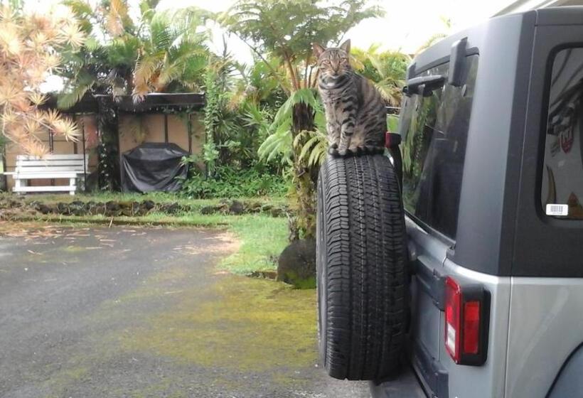 مبيت وإفطار Shaka Shak Guest House