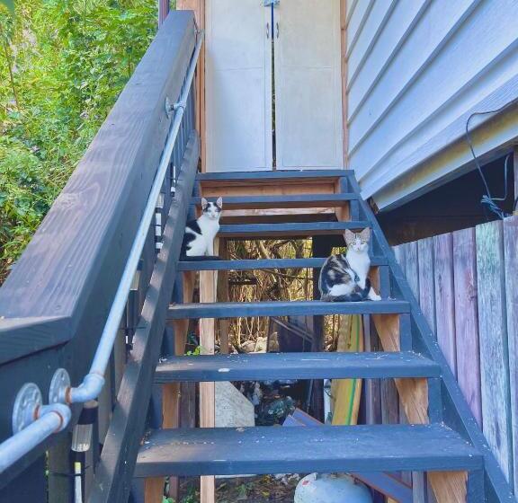 مبيت وإفطار Shaka Shak Guest House