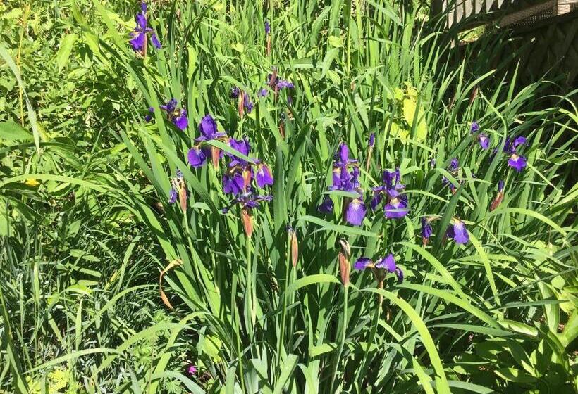 مبيت وإفطار The Little River Inn