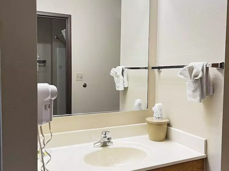 ホテル Designer Inn And Suites