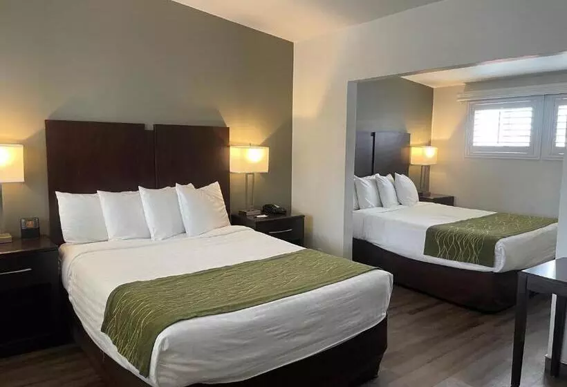 Hotelli Hi View Inn & Suites