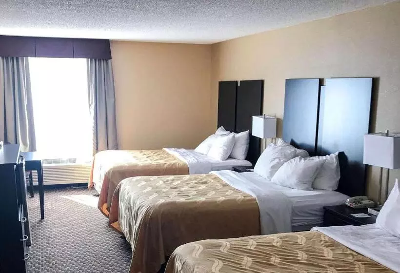 Hotelli Quality Inn & Suites Mendota Near I 39