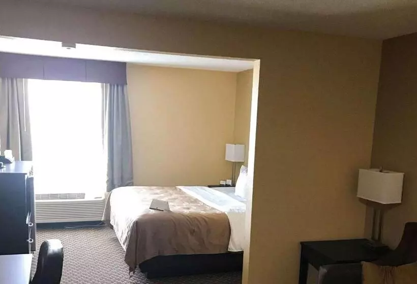 Hotelli Quality Inn & Suites Mendota Near I 39