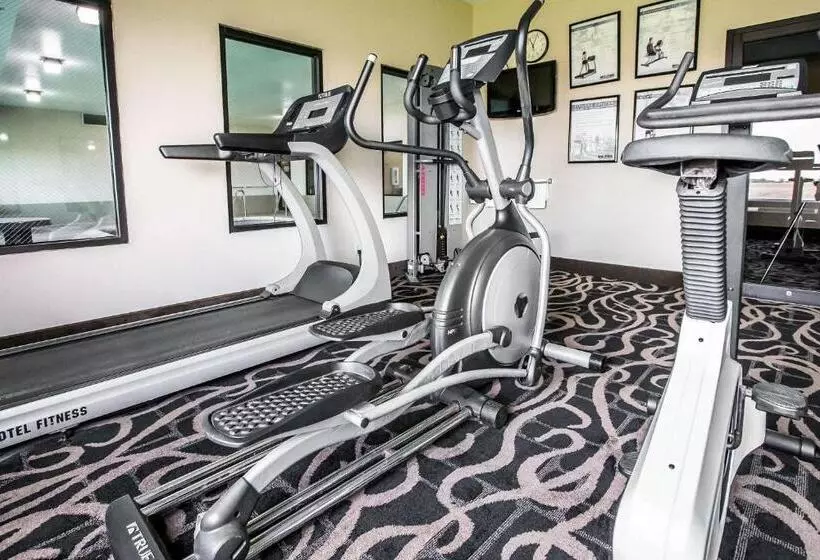 Hotelli Quality Inn & Suites Mendota Near I 39