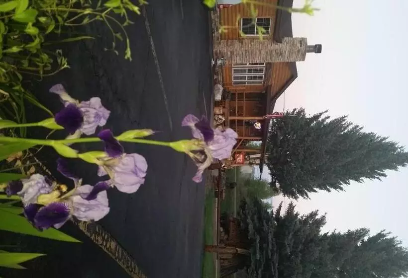 Long Holiday Motel