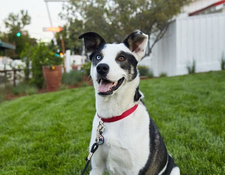 מוטל Farmhouse Paso