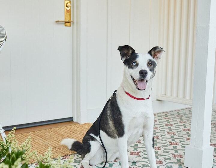 מוטל Farmhouse Paso