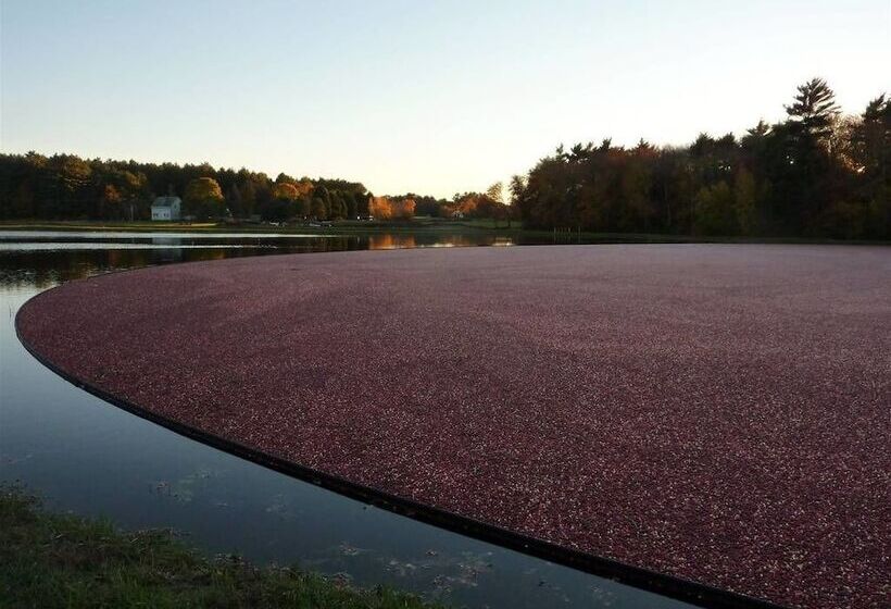 On Cranberry Pond B&b