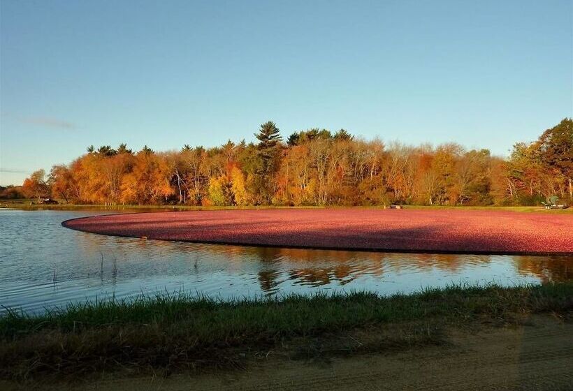 On Cranberry Pond B&b