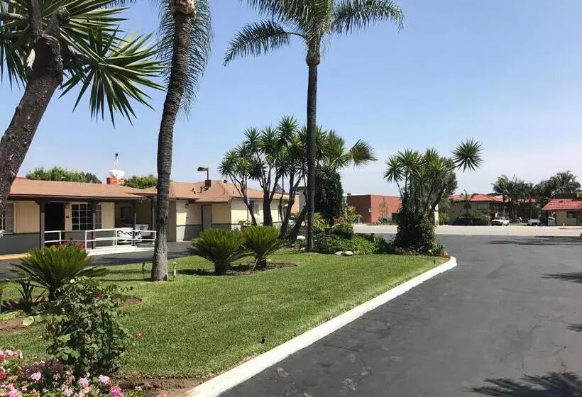 Palm Tropics Motel