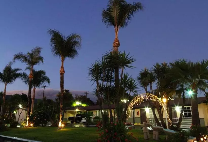 Palm Tropics Motel