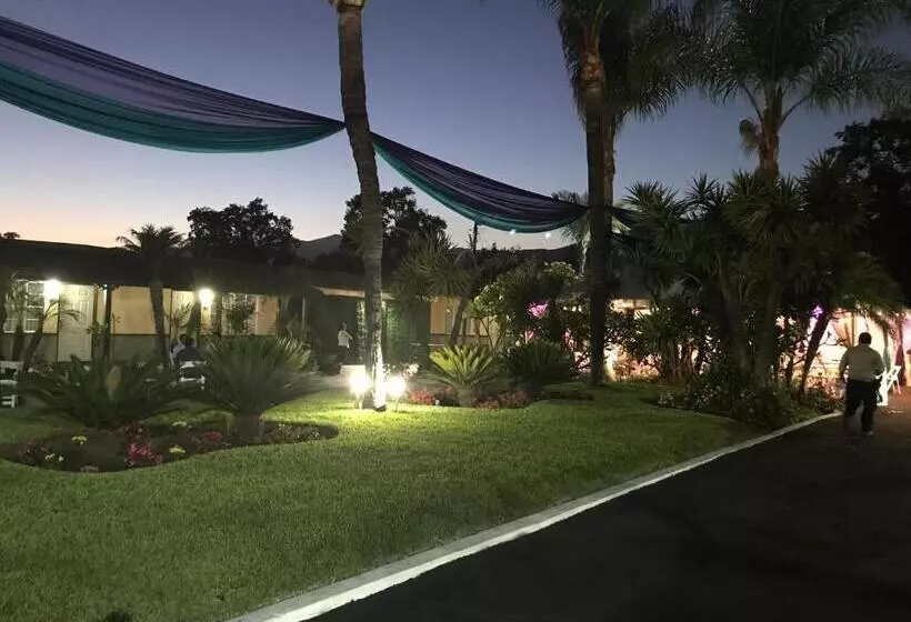Palm Tropics Motel