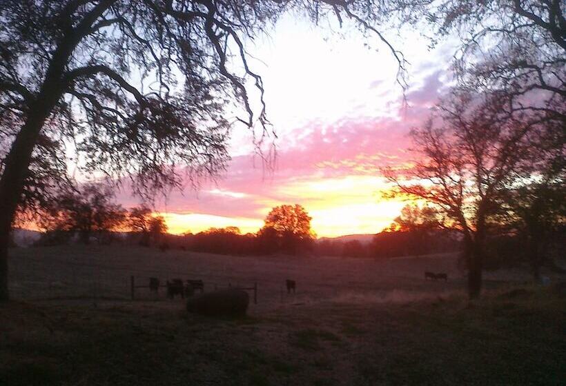 The Branded Calf Bed & Breakfast