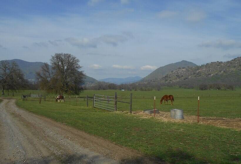 The Branded Calf Bed & Breakfast