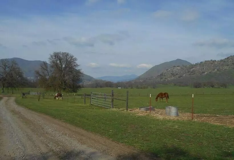 The Branded Calf Bed & Breakfast