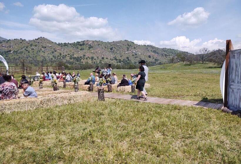 The Branded Calf Bed & Breakfast