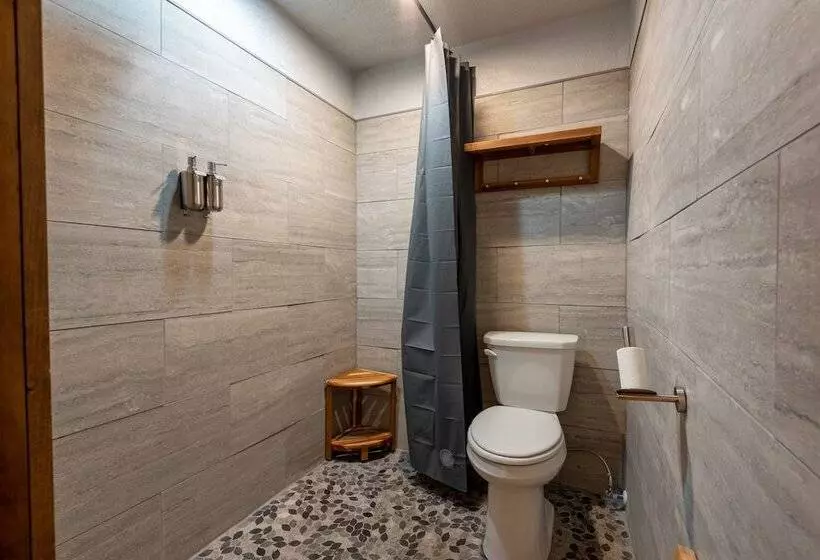 ホテル Springs Lodge & Cafe