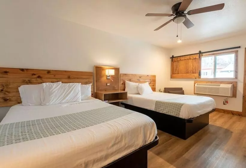 ホテル Springs Lodge & Cafe