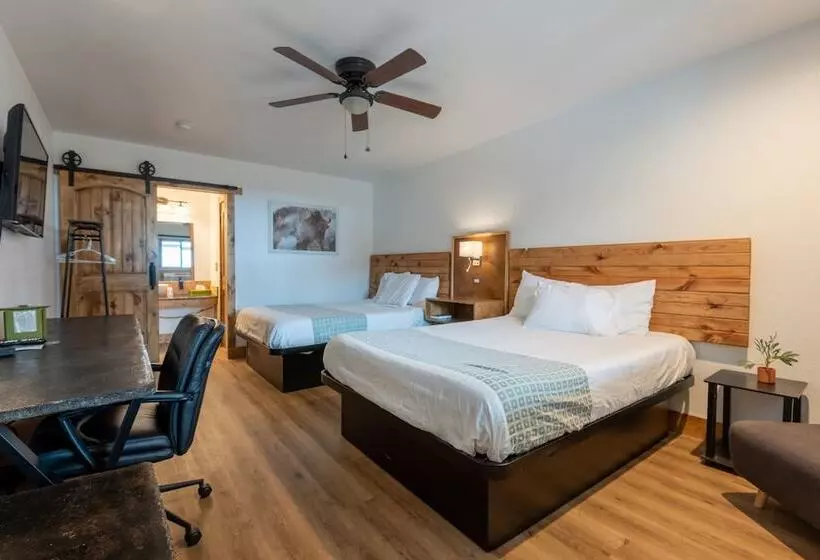 ホテル Springs Lodge & Cafe