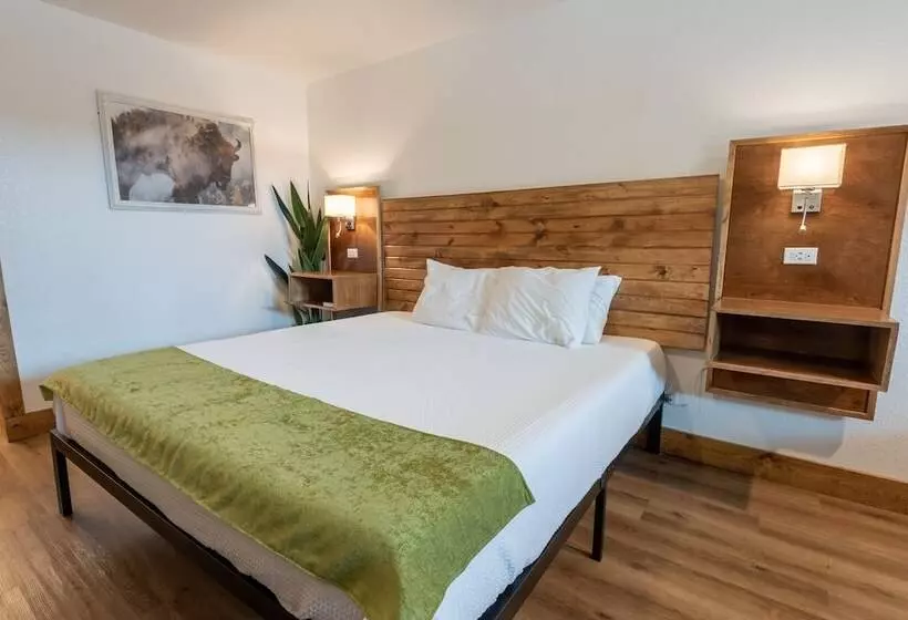 ホテル Springs Lodge & Cafe