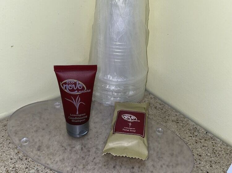 A Holiday Motel   Maggie Valley