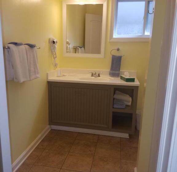 A Holiday Motel   Maggie Valley