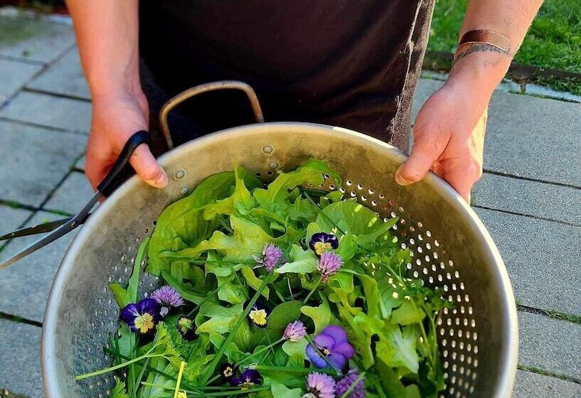 住宿加早餐 Alamoosook Lakeside Inn Orland