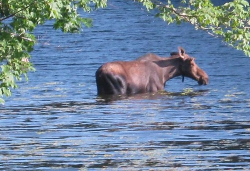 住宿加早餐 Alamoosook Lakeside Inn Orland
