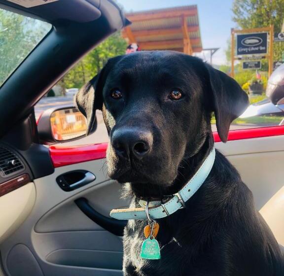 مبيت وإفطار Gray Ghost Inn