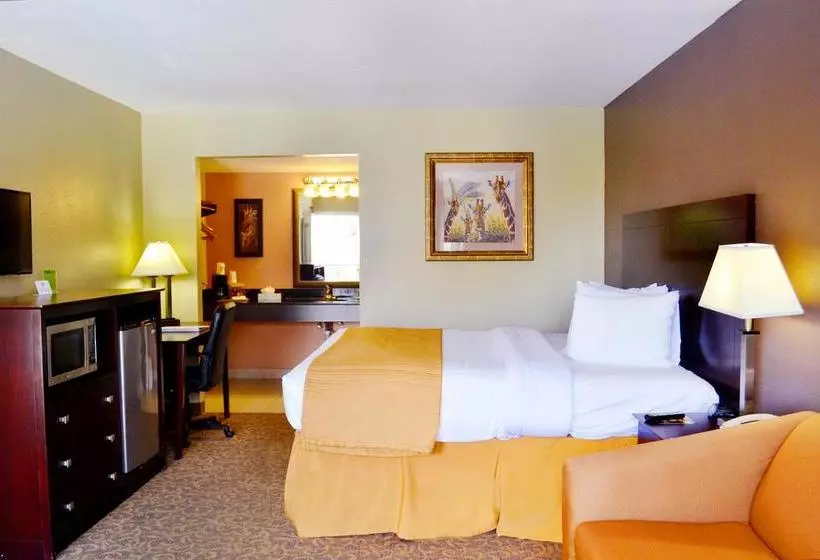 Hotelli Quality Inn & Suites By The Parks