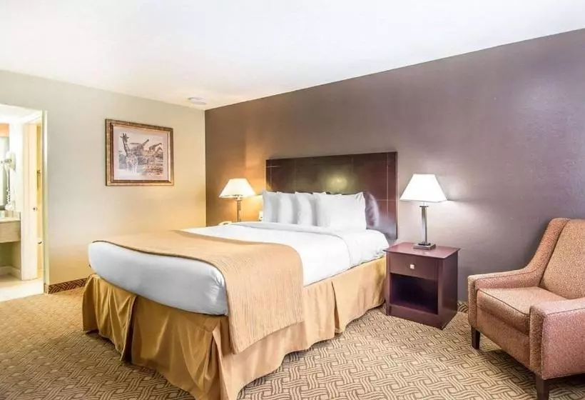 Hotelli Quality Inn & Suites By The Parks