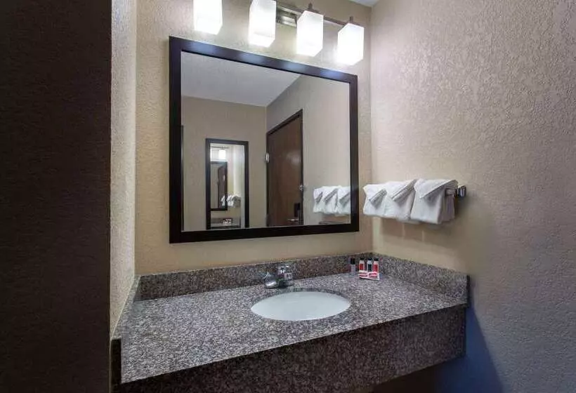 ホテル Ramada By Wyndham Glendale Heights/lombard