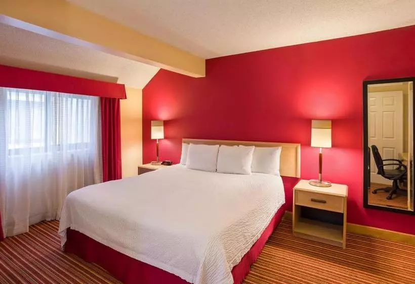 ホテル Residence Inn St. Petersburg Clearwater