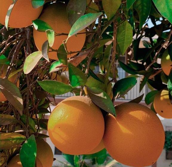 فندق على الطريق 99 Palms Inn & Suites