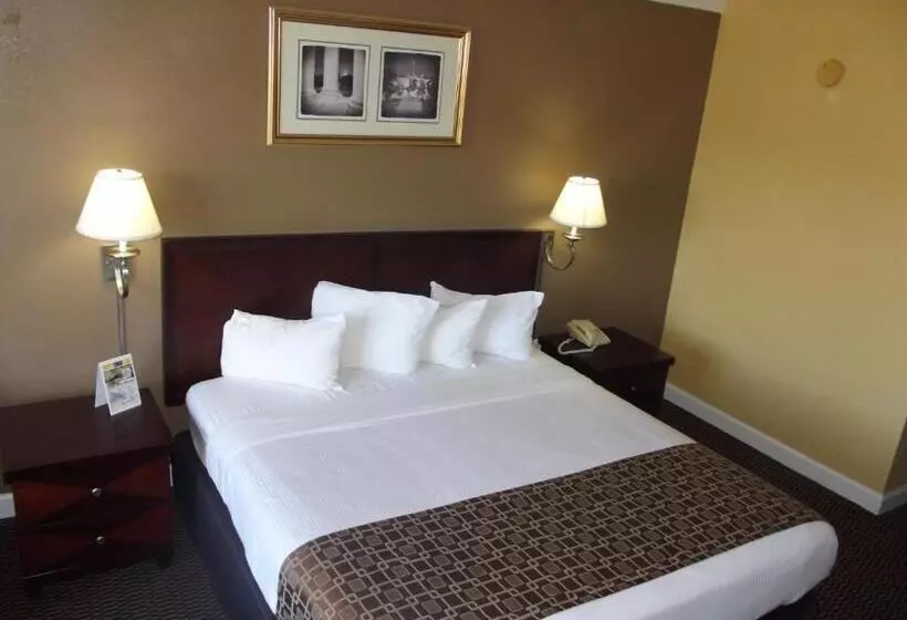 モーテル Ambassadors Inn & Suites