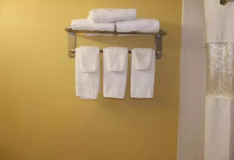 モーテル Ambassadors Inn & Suites