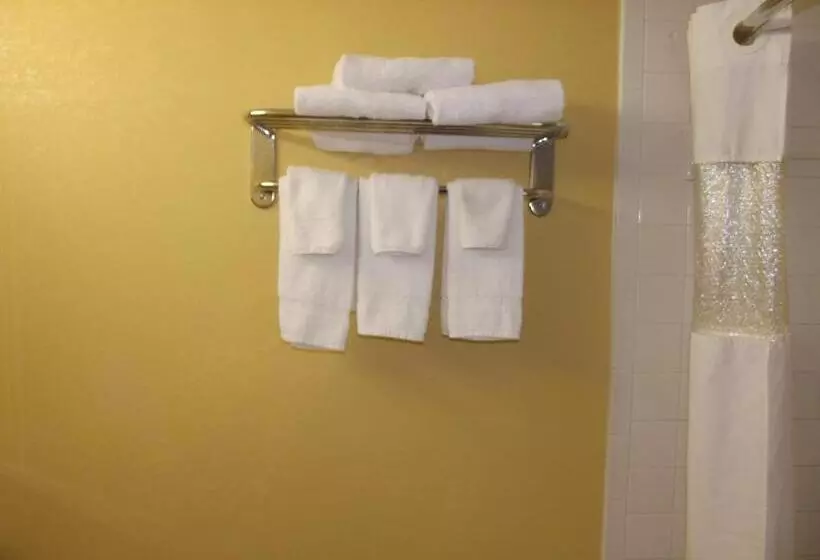 モーテル Ambassadors Inn & Suites