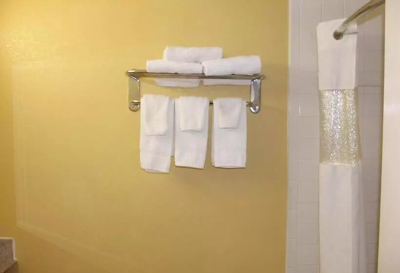 モーテル Ambassadors Inn & Suites