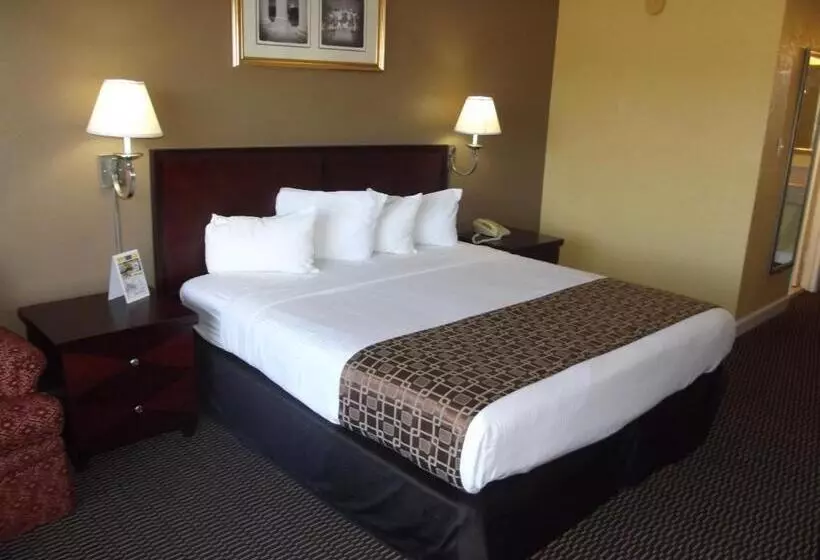 モーテル Ambassadors Inn & Suites