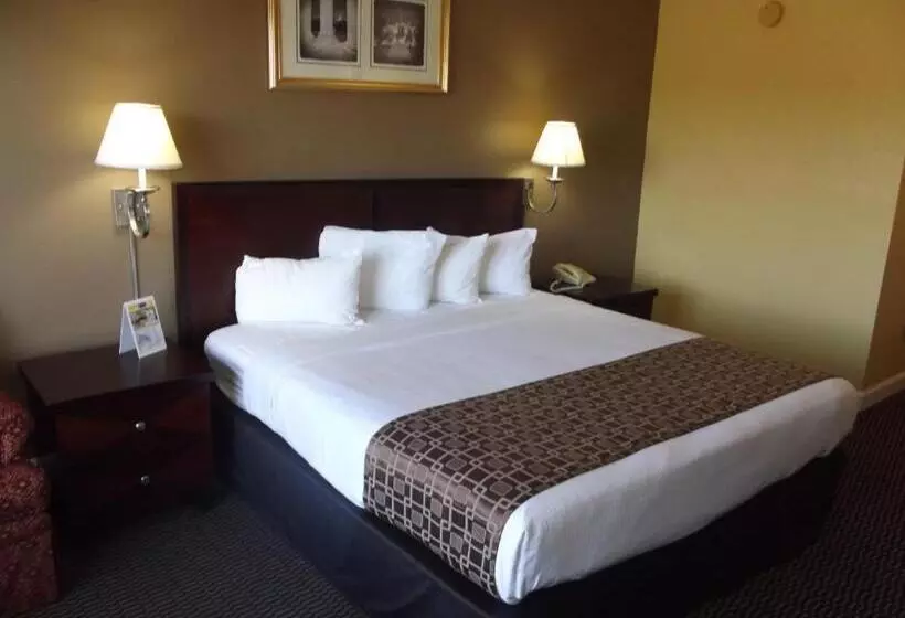 モーテル Ambassadors Inn & Suites