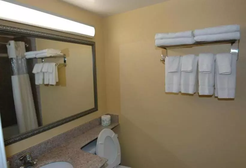 モーテル Ambassadors Inn & Suites