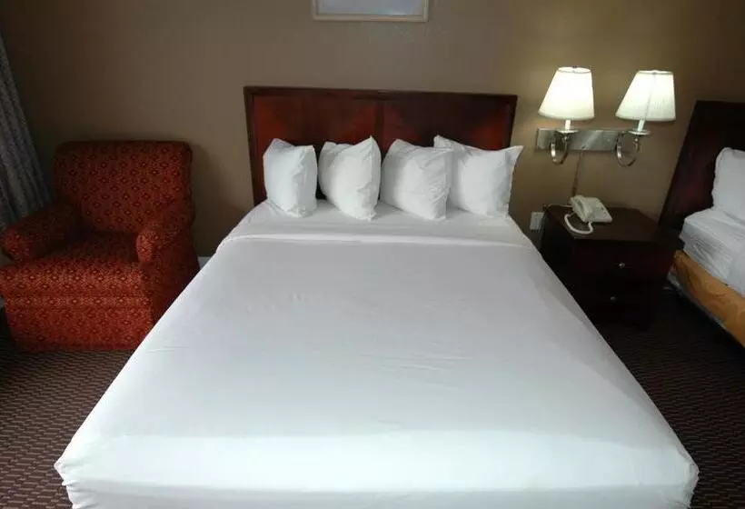 モーテル Ambassadors Inn & Suites