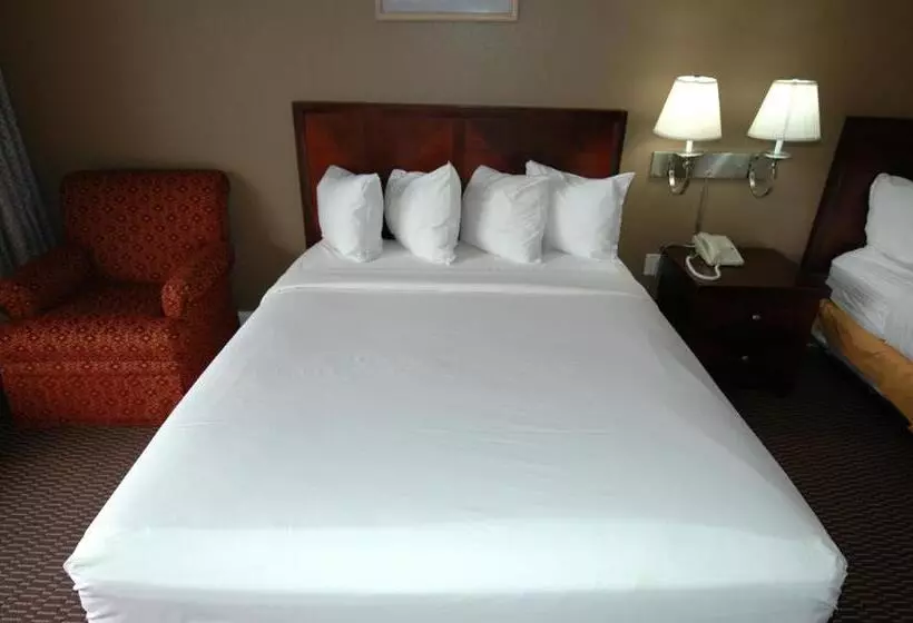 モーテル Ambassadors Inn & Suites