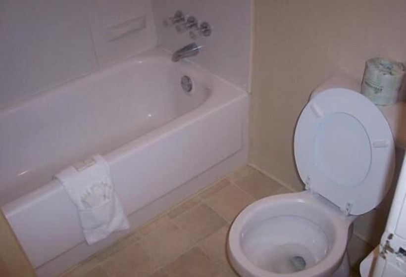 מוטל Red Carpet Inn Terre Haute