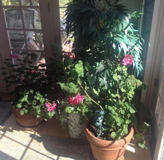 Toad Hall Manor Bed And Breakfast