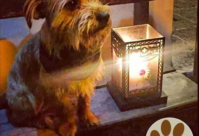 호텔 Finca De La Vaca Glamping