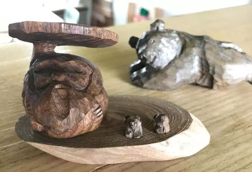 Guest House Ponkotan   Hostel