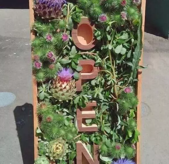 Guest House Ponkotan   Hostel