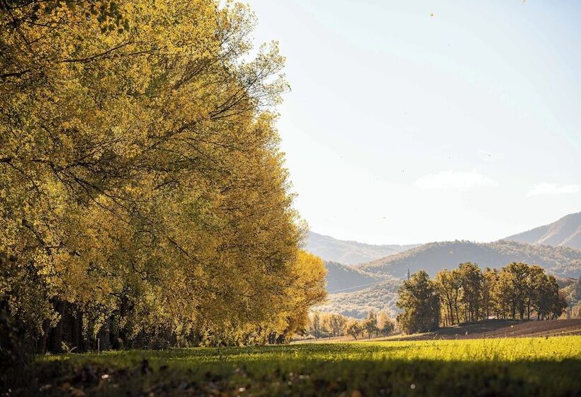 田舎風ホテル Agriturismo Borgo Scaffaia